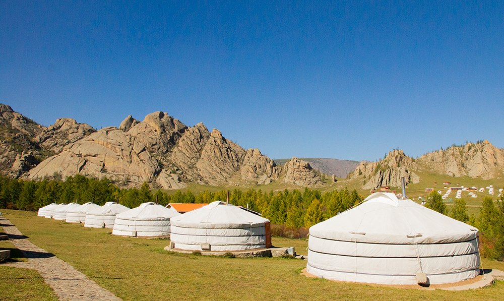 Mongolei: Baumlandschaft